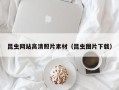 大悟昆虫网站高清照片素材（昆虫图片下载）